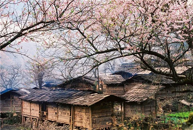 怒江旅游公司：与怒江共赴春光